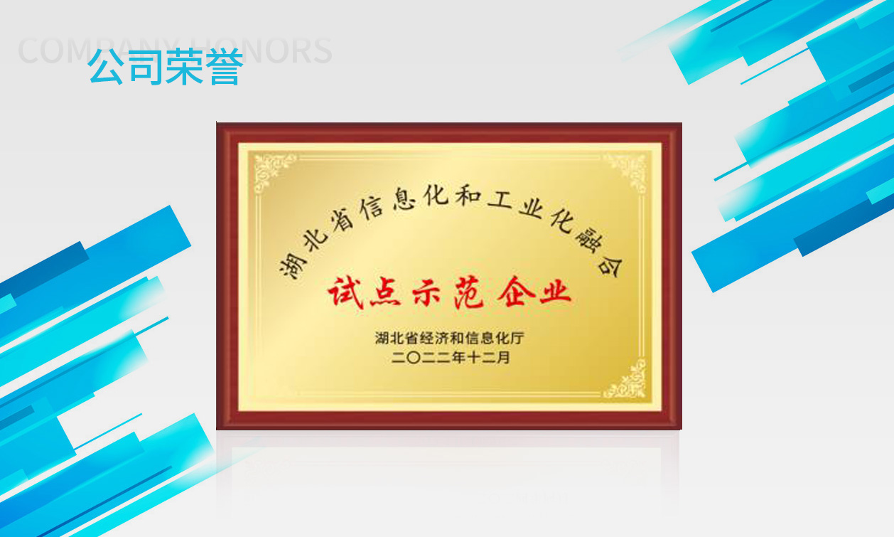 信息化和工业化融合试点示范企业